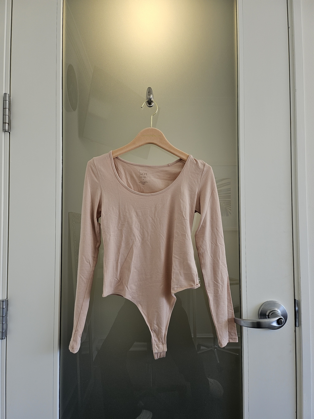 Banana Republic Long Sleeve Scoop Neck Bodysuit in Blush